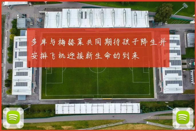 多库与梅赫莱共同期待孩子降生并安排飞机迎接新生命的到来